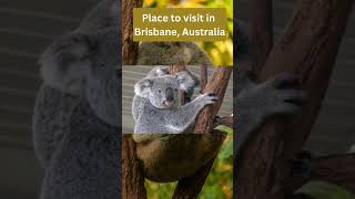 Place to visit in Brisbane Australia #shorts