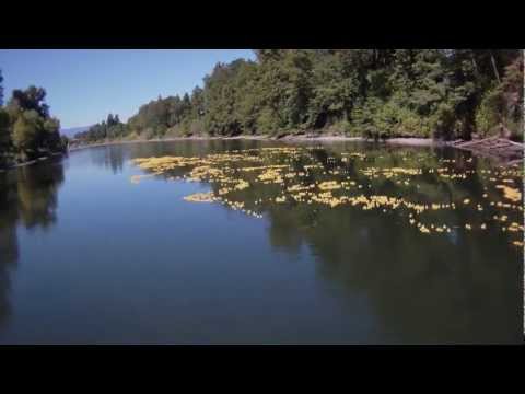 2012 Grants Pass Duck Derby - Rolling on The River