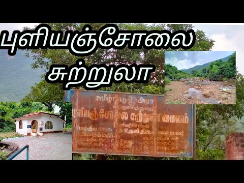 Puliyancholai Reserved forest (புளியஞ்சோலை) #puliyancholai #trichyupdates