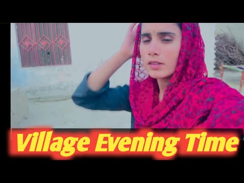 Beautiful village evening and village view / Mud House village Life ||Sumia khan family ||