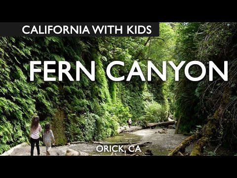 Fern Canyon Is California's Best Family Friendly Hike