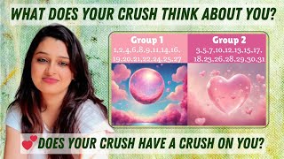 What does your crush think about you? 💕💕🤔🤔♥️♥️ The Spiritual Bird