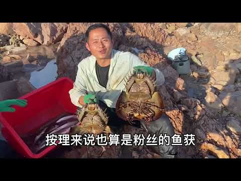 【阿向趕海】 秋刀魚帶魚打窩500平巨坑 驚現4斤紅龍和巨型成精石斑 大賣1499