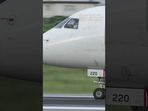 JAL EMBRAER E170 | Landing with the captain giving a signal | Osaka ITAMI Airport