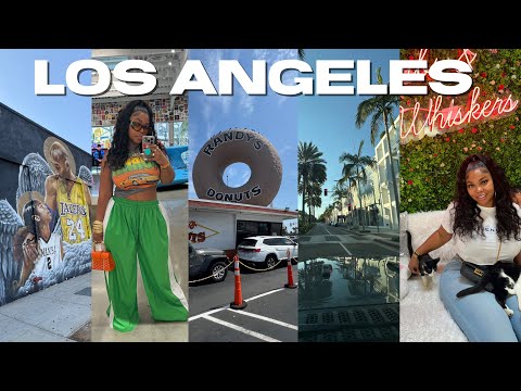 LOS ANGELES VLOG | BDAY TRIP • WNBA GAME 😭 • HOLLYWOOD WALK OF FAME • VINTAGE SHOPPING • CAT CAFE