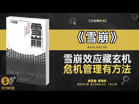 《雪崩》雪崩效应分析,危机应对策略,金融危机的警示与教训·听书财富 Listening to Forture