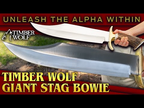 BUDK:  The Timber Wolf King Stag Antler Crown Knife packs a punch!