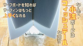 【そこが知りたい！】小波ボードの定番テール「フィッシュ」は果たして一番速いのか！？切れ込みを入れる意味は？もしかしたら速いと思わされてるだけかも？一緒に考えてみましょう！