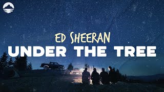 Ed Sheeran - Under The Tree | Lyrics