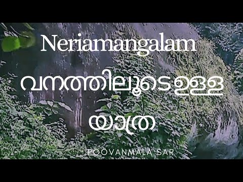 Neriamangalam വനത്തിലൂടെ ഉള്ള യാത്ര#Poovanmala SAR#