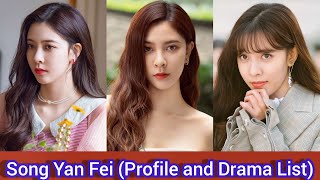 Song Yan Fei 宋妍霏 | Wenderella's Diary | Profile and Drama List |