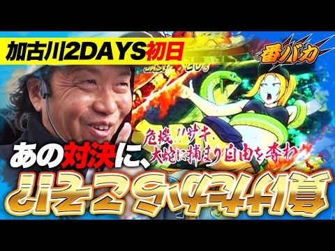 335話【番バカ】（押忍！番長４）操しか勝たん！