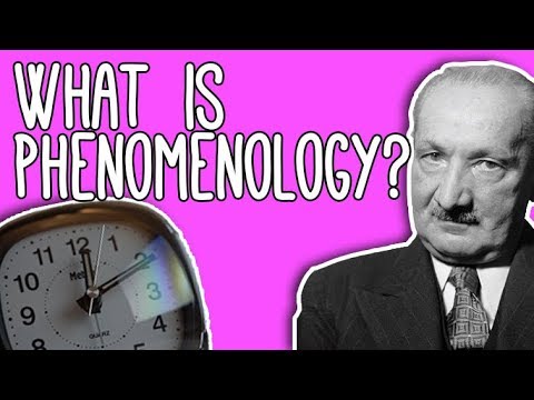 Phenomenology: WTF? Time and Phenomenology explained!