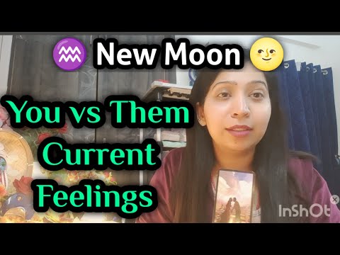 ♒🌝New Moon 🪅🔮You vs Them Current Feelings ✴️🌷😊 timeless reading