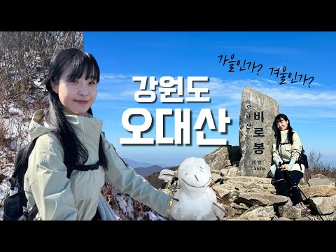 숨니vlog. 오대산, 가을과 겨울 어느 사이의 하루..🍂⛄️ 등산 | 브이로그 | 혼산 | 등린이 | 오대산국립공원 | 겨울산행 | 첫눈 | 등산추천 | 트레킹 | hiking