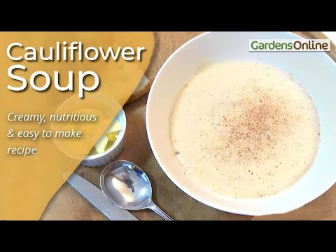 Creamy Cauliflower Soup Recipe