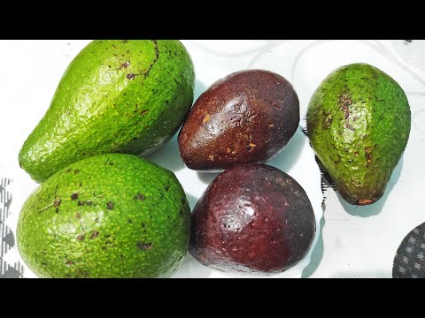 Health and Nutritional Benefits of Avocado | Health Benefits of Avocado Fruit | Nutrition Benefits