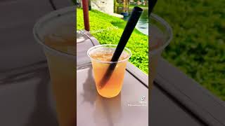 Rating Disney Drinks Pt. 2! #disney #short #shorts #disneydrinks #disneyworld #disneyfood #drinks