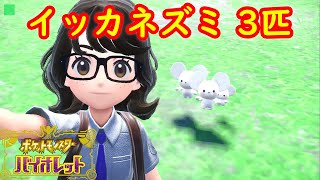 【イッカネズミ 3匹家族】簡単入手方法 攻略【ポケモン スカーレット・バイオレット】