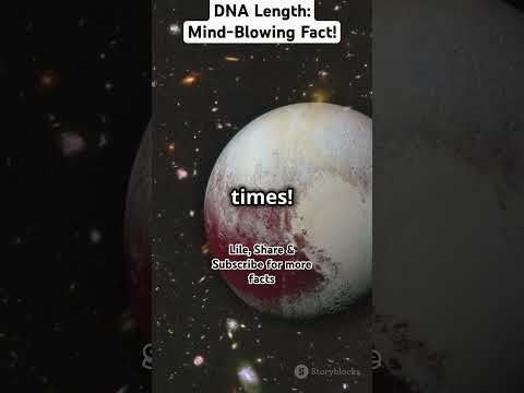 DNA Length: Mind-Blowing Fact! #ytshorts #facts #DNA #Nucleic acids #cycle