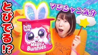 ギミックだらけの帽子がすごい！🎩🤪マジックみたいにうさぎが飛び出る『マジックバニーズ』がとんでもなかった！！！🐰