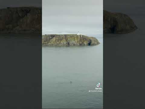 Paddle boarder passing Scotlands most southerly point the Mull of Galloway. #lighthouse  #shorts