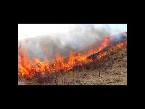 伊豆大室山山焼き（お鉢編）