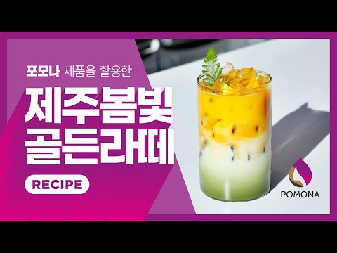 [포모나 레시피] 제주봄빛 골든라떼 레시피 | 제주봄빛 말차 파우더 레시피 | 튜메릭라떼 | 스타벅스