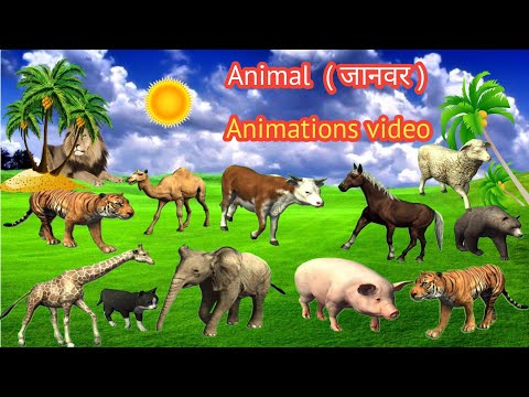 Wild animals names (जंगली जानवरों का नाम) Pictur And Animation Video | wild animals @Nursery_Classes