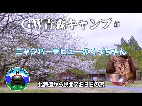 GWキャンプ2024！青森キャンプ①DODワンタッチテント わがやのテント設営！キャンプ猫くぅちゃんニャンパーデビュー！国設薬研野営場