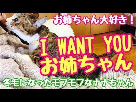 I want you お姉ちゃん！