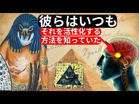 この簡単なトリックで第三の目を即座に目覚めさせよう！- 松果体の秘密 – 引き寄せの法則