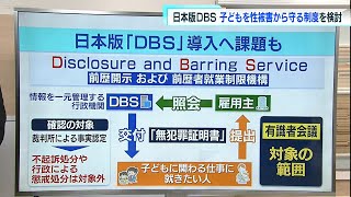 日本版DBSについて