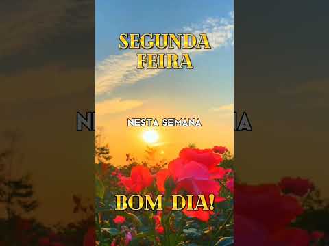 🌅 Oração da Manhã: Paz e Bençãos nesta Segunda, 02/12 ✨🌟 | #Oração #BomDia #segundafeira #shorts