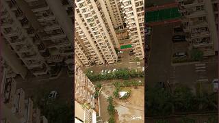 😯👏 Enchanting Glimpses of Gaur City Greater Noida West l Gaur City GreaterNoidaWest l#shorts#noida