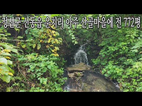 동강 윗쪽마을 전 772평 농막 두개. 농막값으로 토지 구입. 정선군 신동읍 운치리 산골짜기 나만의 놀이터 작품활동, 공부할곳, 기도할곳 마당에 작은폭포 010-9379-1146