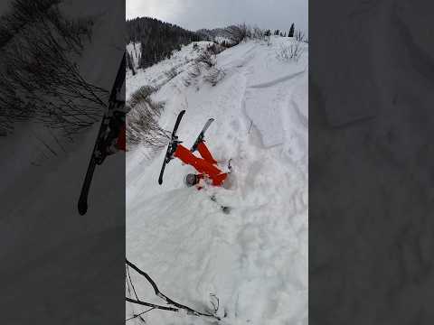 Luca is only 8 years old but has learned how to recover after falling! #ski #funny #wholesome