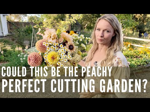 The perfect cutting garden doesn't exist...or does it?