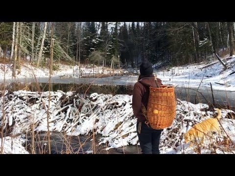 Foraging for Wild Medicinal Foods, with Laura from Wild Muskoka Botanicals, Episode 4