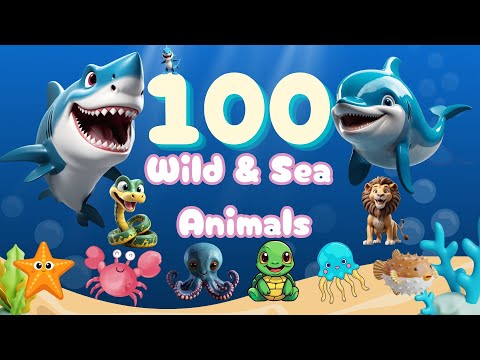 Learn 100 Sea Wild Animals in MINUTES with CreativeToddlerstv!