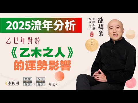 流年分析 | 2025乙巳年對乙木之人的運勢影響 | 以四柱八字來看《紫微解密》(字幕版)