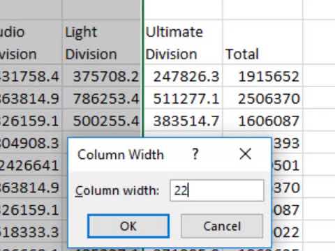 Increase Column Widths1