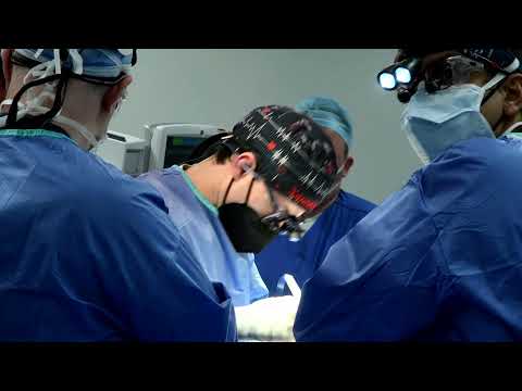 Donor Pig Heart is Removed Prior to Human Transplant - University of Maryland Medicine