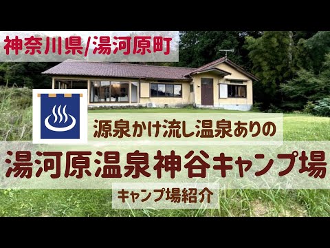 【神奈川県/湯河原】ホスピタリティー高目！源泉かけ流し温泉付きの湯河原温泉神谷キャンプ場で身も心もほぐれるキャンプ！#まふハピキャンプ