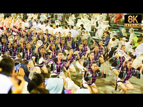 [2023 Gojyahei] Authentic Tokushima blows away the typhoon, the highest peak Awa Odori - JAPAN in 8K