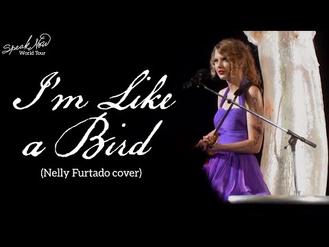 Taylor Swift - I'm Like a Bird (Cover) (Live on the Speak Now World Tour)