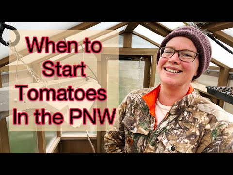 When to Plant Tomato Seeds in the PNW: Best Dates Explained