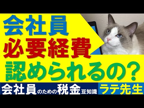 【所得税】「会社員にも必要経費が認められる！」ケースの解説/猫好き税理士