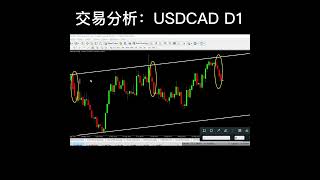 交易分析：USDCAD D1 #股票和外汇 #金融知识 #金融小白 #外汇新手 #外汇入门 #交易者 #外汇交易赚钱 #交易者赚钱 #交易赚钱 #外汇交易分析 #生活理财 #投资交易 #赚钱