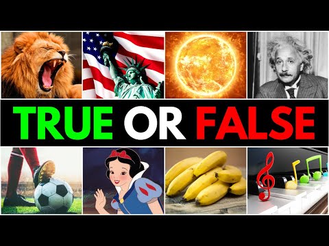 How Smart Are You? 😏 | True or False General Knowledge Quiz 🤓 50 Questions